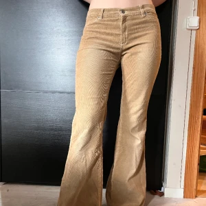 Manchester bootcut byxor  - Lågmidjade beiga manchesterbyxor