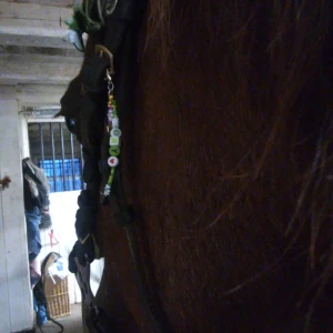 Skyddsängel med namn<3 - Super söt namn tagg till sin häst eller  tränset, ridväst, väska eller annat! Se sista bilden för att se färger på bokstäverna. Kan ibland vara svårt att hitta rätt färg och bokstav men då får vi försöka komma överens 🤍