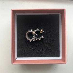 Edblad örhängen - Säljer mina Edblad örhängen med nitar som jag tycker är superfina! Använder de tyvärr inte längre så säljer de av den anledningen. Örhängena är i rostfritt stål💞skriv gärna om ni har frågor