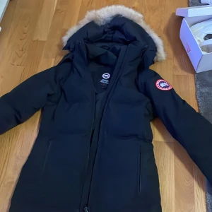 Canada goose - Använd en vinter 