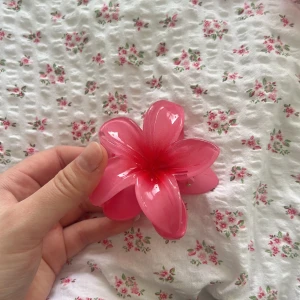 Rosa klämma  - Såå fin 