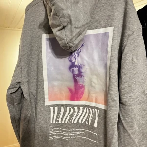 Oversize hoodie - Grå med motiv på ryggen Märke: corella  Large