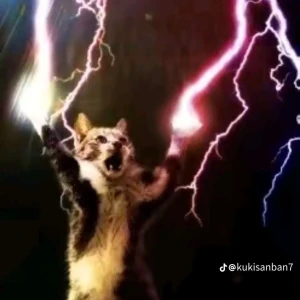 2 korsetter till @sarah - Köp int