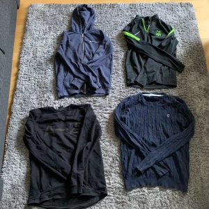 Blandade tröjor  - Flera olika tröjor. Skriv för fler frågor om dem. Utgår från 150 kr styck men de är olika på varje.