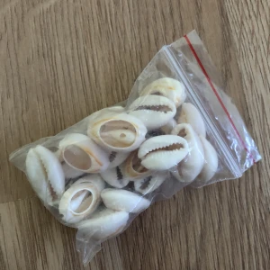 Snäckskal - Säljer då jag köpte fel storlek, 3 styck