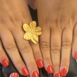 RING FRÅN RAGLADY - En guld ring från raglady som är slutsåld. Man kan anpassa storleken på ringen efter sitt eget finger så den passar alla 💕💕