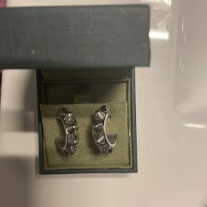 Edblad örhängen - Snygga förhängen men kommer aldrig till användning🥰 köpt för 400 säljer för 250 kan gå  med på 170 vid snabb affär ( fri frakt om du trycker på köp nu men skriv till mig FÖRST!!)