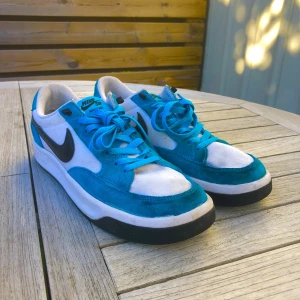 Nike SB Adversary PRM - Nike SB Adversary PRM ljusblåa. Bra skick men ändå använda. (Kartong finns)