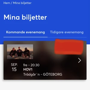 Hov1 15: september trägårn - Hej!  Säljer mina Hov1 biljetter då jag har fått förhinder. 3st biljetter 550kr/st Ståplats Trägårn 18+ 