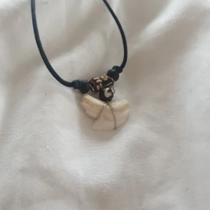 Hajtand Halsband - Äkta Tiger-Haj tand på halsband   Hela halsbandet på bilderna kommer med   Köpt i USA   Bra skick 