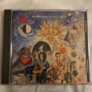Tears för fears  - The seeds of love CD, bra skick 