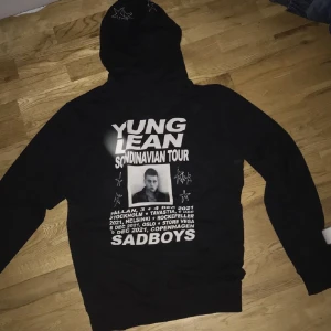 Yung Lean Hoodie - As snygg och rare Yung Lean zip up hoodie i L  (sitter mer som en medium) Har vart använt men är i bra skick, alla rhinestones är kvar, kan träffas i Älvsjö eller så står köpare för frakt ‼️ yalla 👽