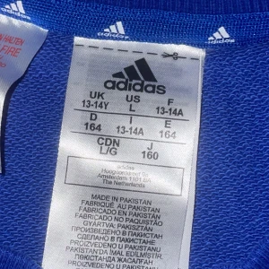 Adidas tröja  - Bra skick på tröjan som passar till alla väder.