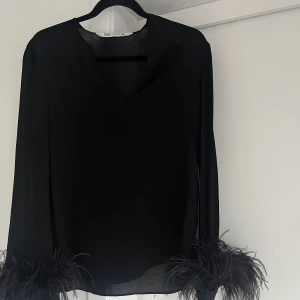 Blus med fjädrar - Snygg party topp från zara i storlek XS. Passar även en S. Använd 1 gång. Nypris 600kr 