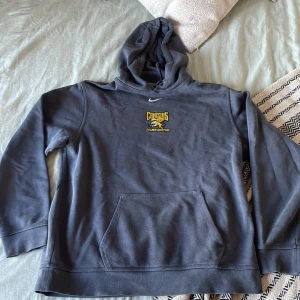 Hoodie strlk L - Snygg vintage Hoodie från Nike i mycket bra skick.