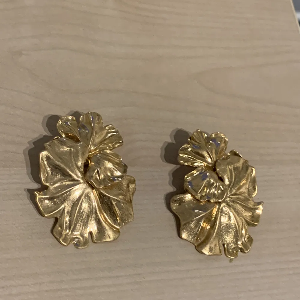 Örhängen i guld. Aldrig använda. Orginal pris 179kr. Säljer pga fick de i gåva men kommer ej till användning. . Accessoarer.