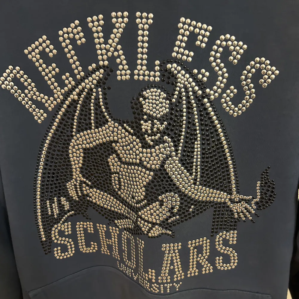 Säljer min blå reckless scholars hoodie i storlek S. Använd Max 5 gånger så väldigt bra skick! 💙 Skriv för bild på! . Hoodies.