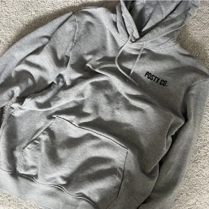 Post Malone Hoodie - Sällan använd Post Malone Hoodie 🩶