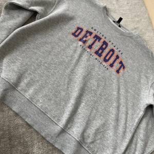Sweatshirt som jag har använt typ en gång. Köpte för ungefär 250kr i England. Väldigt bra kvalite och är inte slitet alls. - Sweatshirt i bra skick som står ”DETROIT” på. 