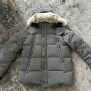 Canada goose wyndham - Black label - Grå canada goose jacka  Storlek XL kan passa L