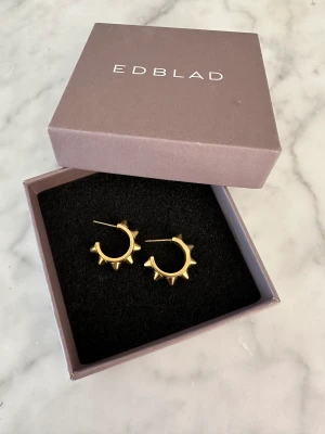 Nitörhängen Edblad - Supercoola nitörhängen från Edblad💞de är använda men syns knappt,säljer utan bakstycken/pluppar,boxen får man med💞