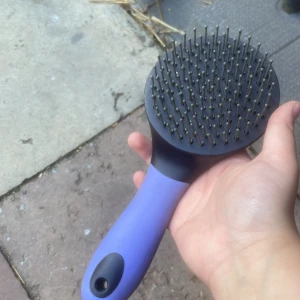 Man/svansborste - Rengör noga efter jag hört om någon ska ha!