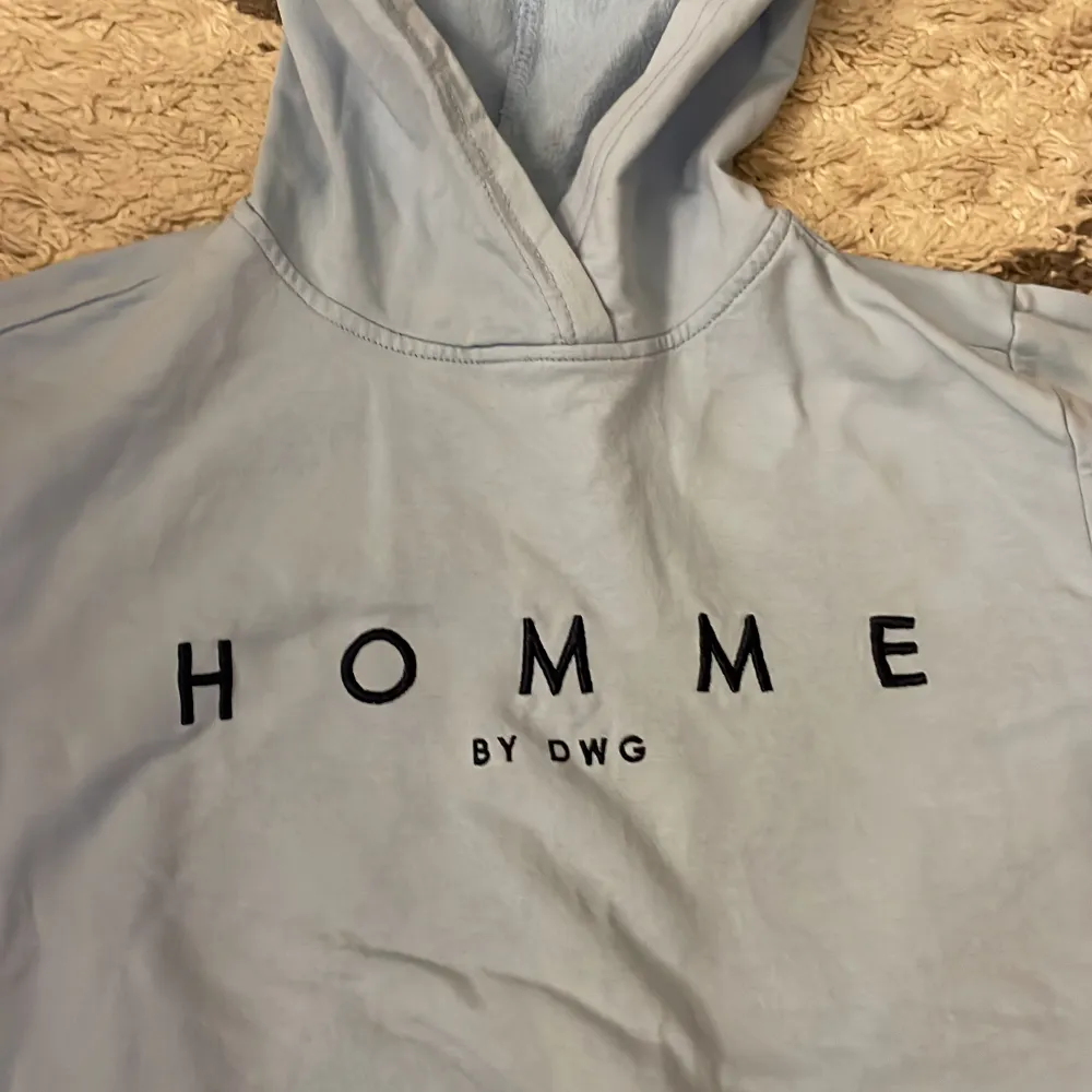 Säljer en ljusblå hoodie. Använt en gång köpt för ett år sen. Ganska tunn i materialet från homme. Storlek 164 men funkar även som s för vuxna . Tröjor & Koftor.