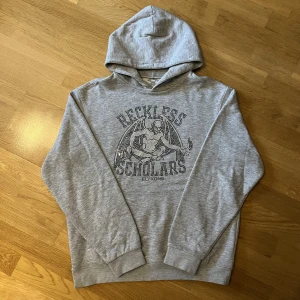 Reckless schoolars Hoodie  - fet reckless schoolars Hoodie!  Detta är den OG gråa hoodien från ett av deras första dropp! Har alla rhinestones och är i riktigt bra condition  Skrivit frågor / köp  OBS! priset går att diskutera 