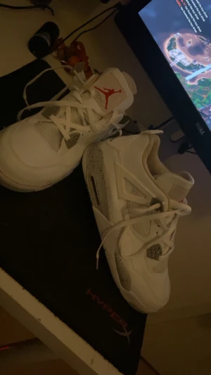 Jordan 4s  - Har aldrig haft på mig då och jag tycker inte att de är så fin på mig.
