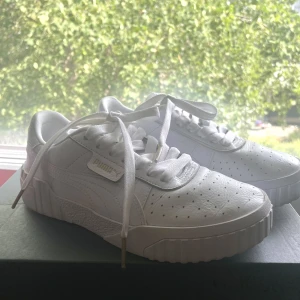 Puma California  - Bra skick 