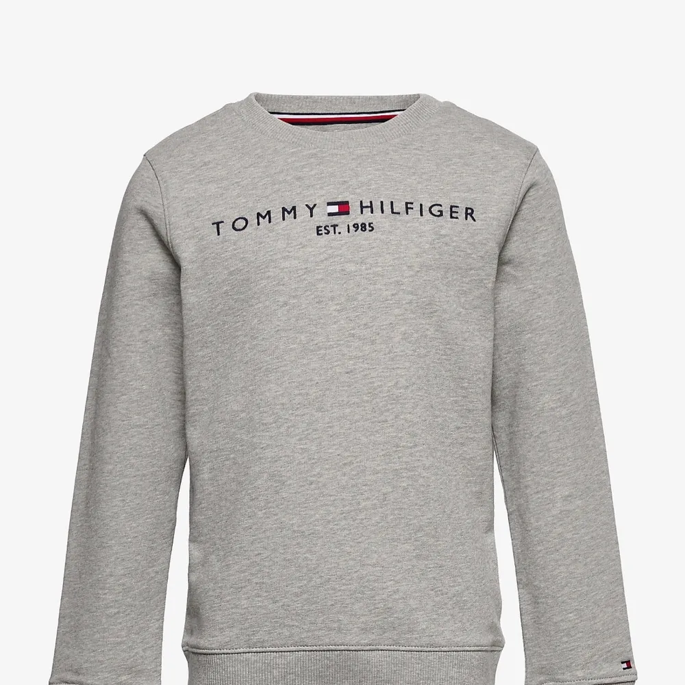 Sweatshirt från tommy hilfiger i fint skick. Pris går att diskuteras vid snabb affär. Nypris 699kr. Hoodies.