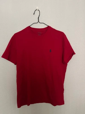 Ralph Lauren t-shirt - Använd ett fåtal gånger, som ny. Nypris 699. 