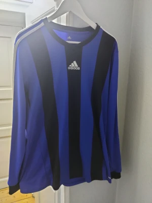 Adidas träningströja - En väldigt snygg träningströja i svart och blå randigt. Storleken på tröjan är Large. Den är i ett gott skick.