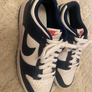NIKE DUNKS - Nike dunk valerian blue.  Använda max 3 gånger. Har skoinlägg (det vita som syns i skon). Kartong är kastad. 