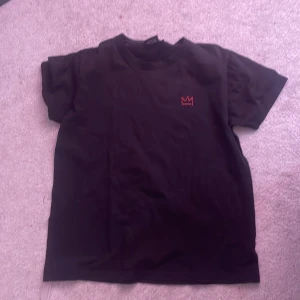 Hov1 tröja  - Köpt på deras until next time tour 2018 endast använda några gånger 