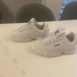 Fila skor  - Använda 2 gånger 