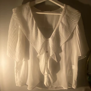 Blus - Super fin blus från Zara. Använt endast 2 gånger. Frakt 54kr