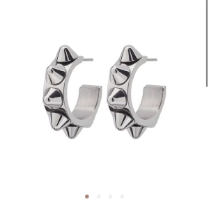 Edblad örhängen  - Nu säljer jag mina snygga Edblad örhängen som är peak Creoles Mini köpte för 349 och säljer för 220 dom  är helt nya och inte andvända ❤️