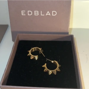 ÖRHÄNGEN - säljer dessa populära örhängen från edblad, jättebra skick🫧🫧