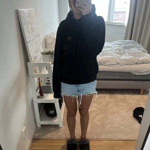 Hov1 hoodie - Hov1 hoodie i nyskick