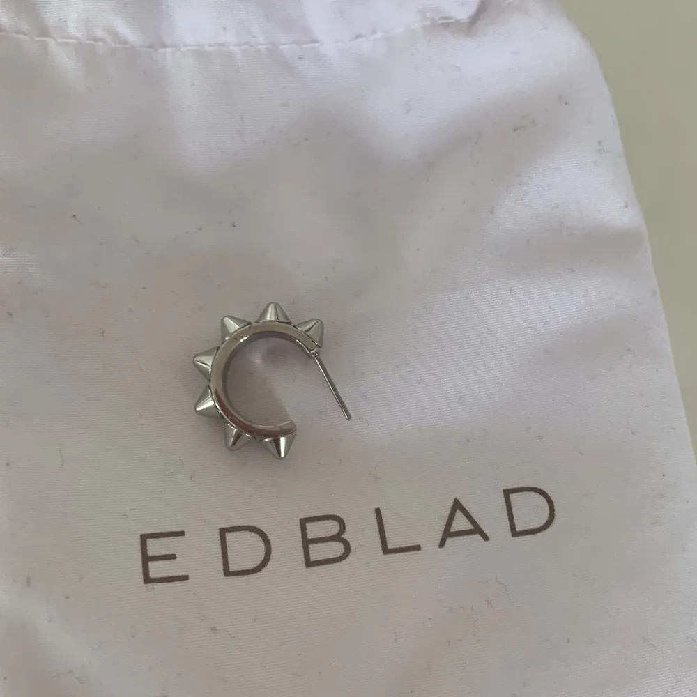 Säljer ETT silvrigt Edblads örhänge eftersom att jag har tappat bort det andra. Skriv om ni är intresserade!. Accessoarer.