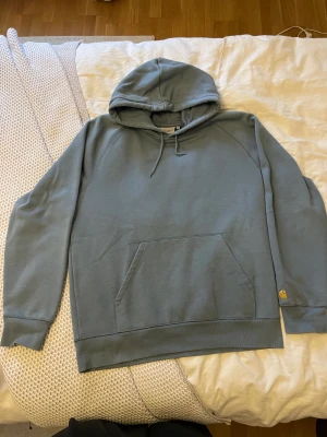 Hoodie från carhartt - En blå hoodie från carhartt som är i mycket fint skick. Storlek L,nypris 1200 om jag inte minns fel🫶