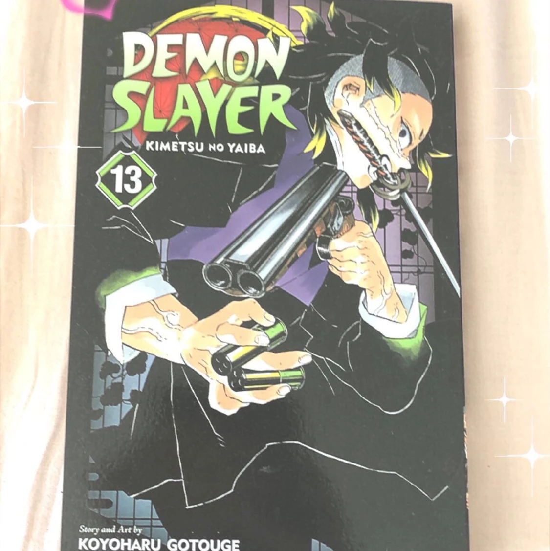 Dmeon slayer vol 13 (English)
