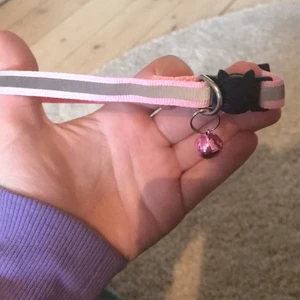Helt nytt oanvändt rosa katthalsband - Ett fint rosa katthalsband