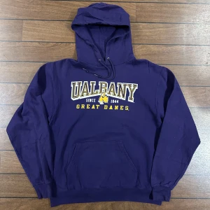 Champion Ualbany Hoodie - Snygg vintage Hoodie i storlek M! Bara att skriva om du undrar över något🙏