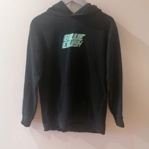 Billige Eilish - Billige Eilish hoodie köpt på H&M