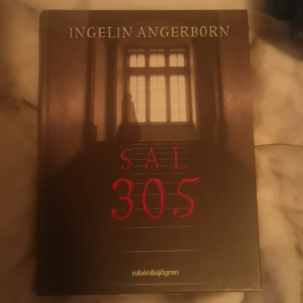 Sal 305 av Ingelin Angeborn. Övrigt.