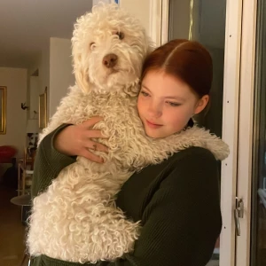 jättekonstig psykhund  - säljer den här vita hunden. den är konstig och heter djesse. han luktar äckligt och är 2 år. han e helt dum i huvet. men det okej. ibland pratar han lite men man kan inte förstå honom. han saknar troligen en hjärncell eller två. duktig pojke även om dålig