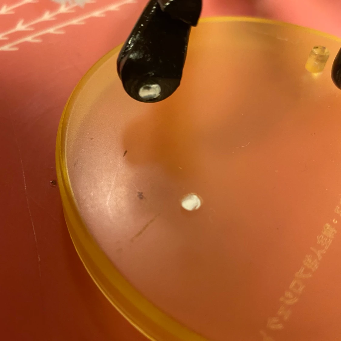 He is my master, Sawatari Izumi, anime figur - 91