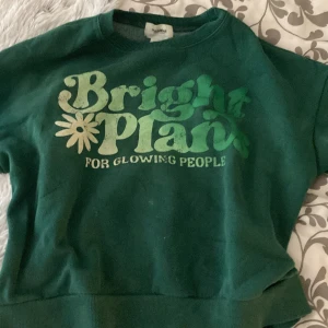 Pull and bear Hoodie - En tjocktröja från pull and bear som inte går att köpa längre. Köptes för 350. Snygg och trendig för hösten